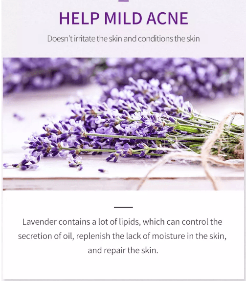 Estelin Lavender Essential Oil Extract (30ml) - Image 10